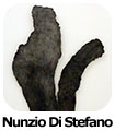 Nunzio Di Stefano